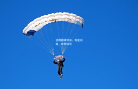 温网巅峰对决,新星闪耀,传奇续写