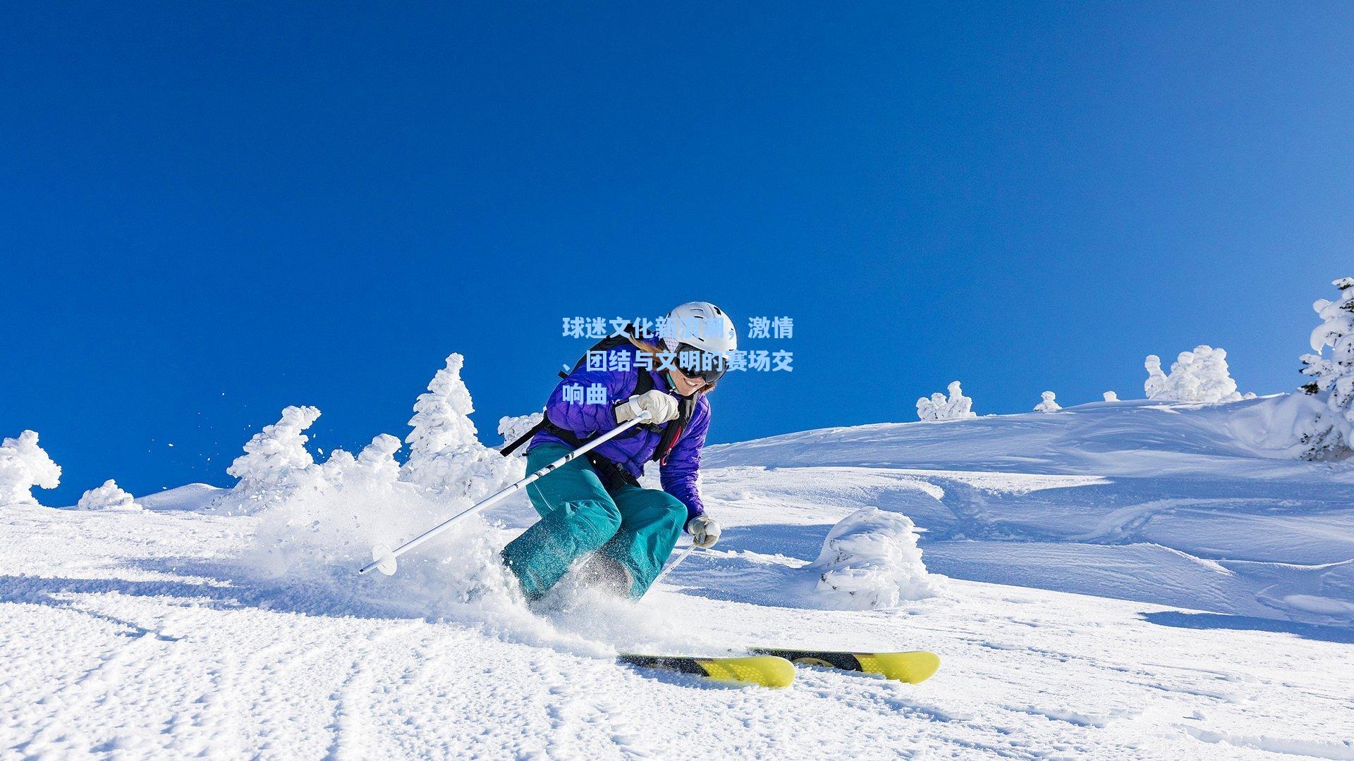 球迷文化新浪潮，激情、团结与文明的赛场交响曲